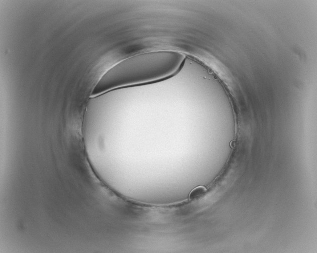 X0000115680905200911251749