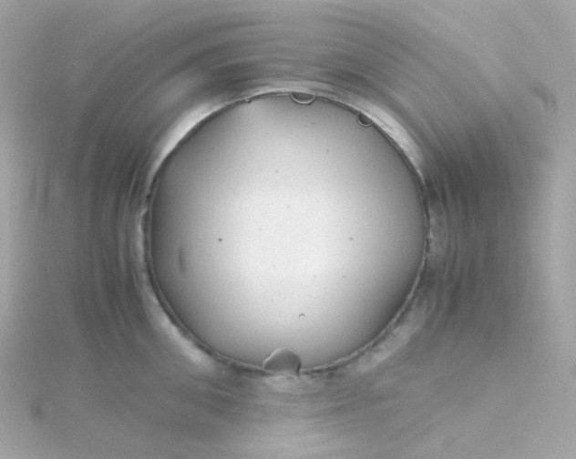 X0000115680906200911251749