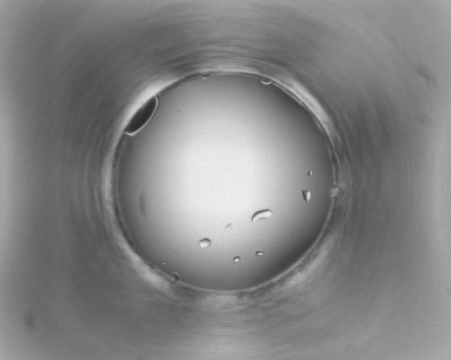 X0000115680909200911251749