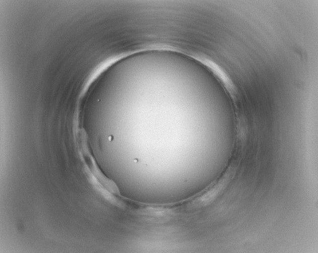 X0000115680910200911251749