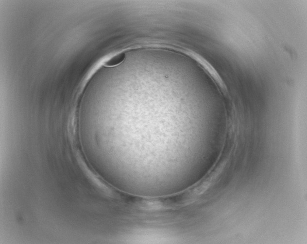 X0000115680911200911251749