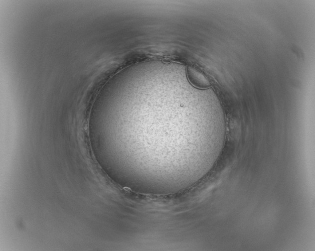 X0000115680913200911251748