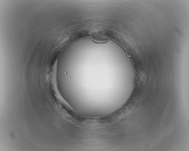 X0000115680914200911251748