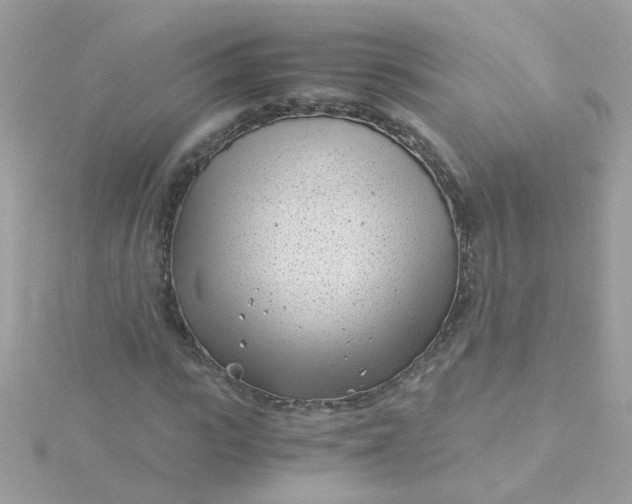 X0000115680919200911251748