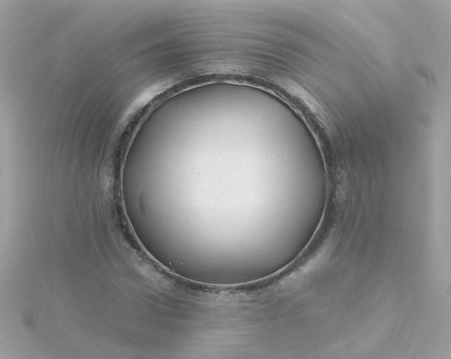 X0000115680922200911251748