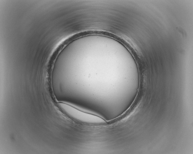 X0000115680926200911251748