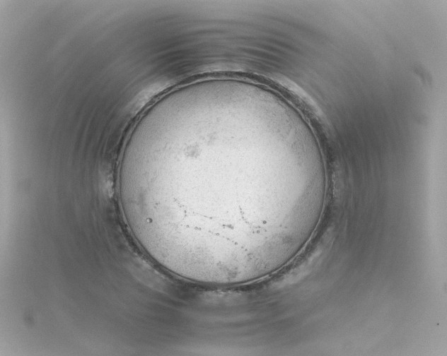 X0000115680929200911251748