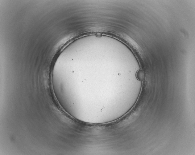 X0000115680930200911251748