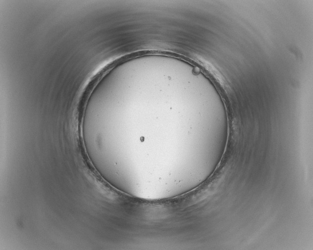 X0000115680931200911251748