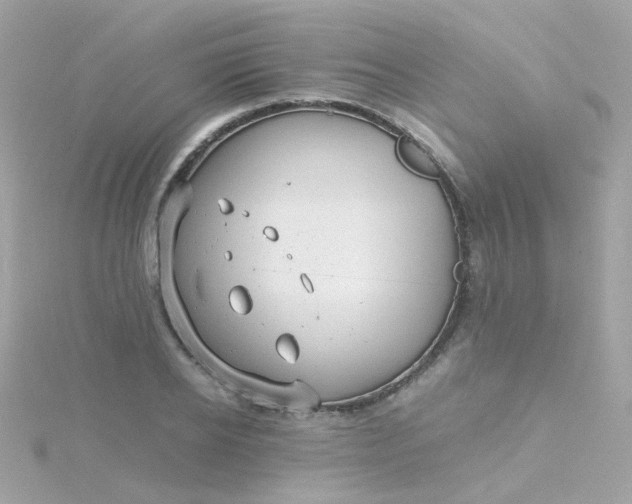 X0000115680934200911251748