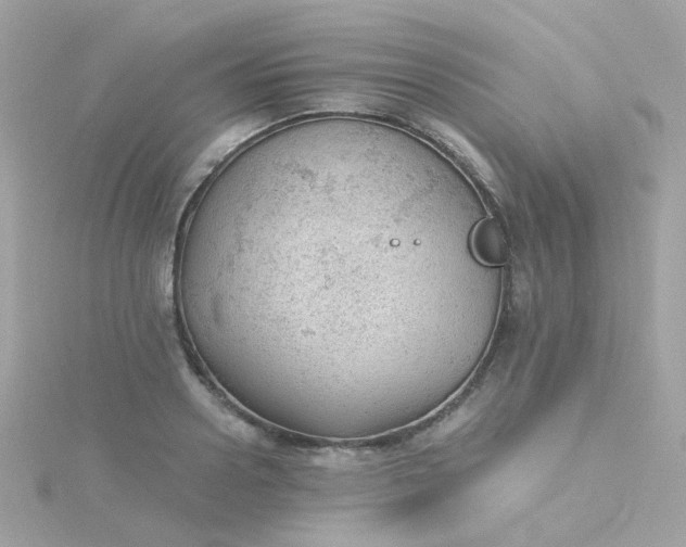 X0000115680938200911251749