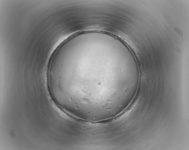 X0000115680941200911251749