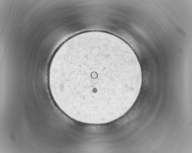 X0000115680950200911251749