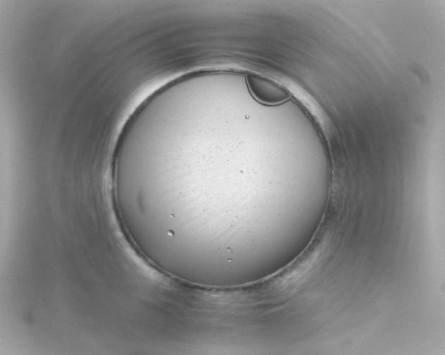 X0000115680951200911251749