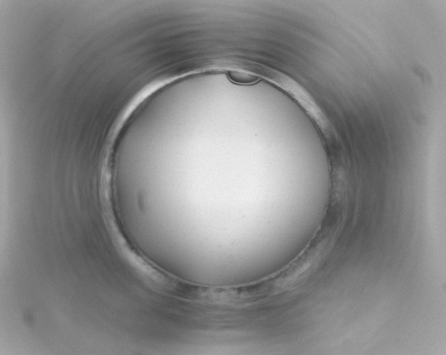 X0000115680955200911251749