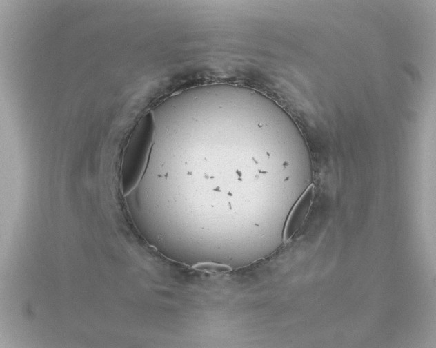 X0000115680961200911251748