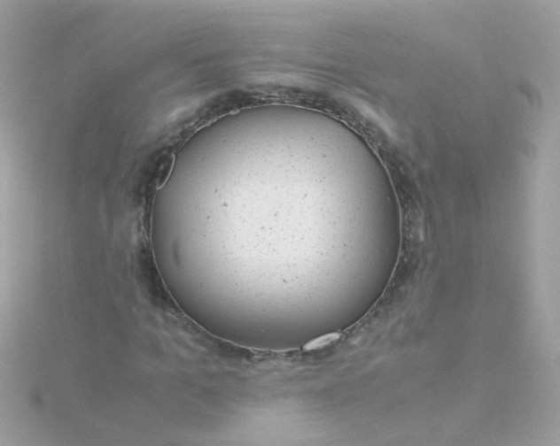 X0000115680965200911251748