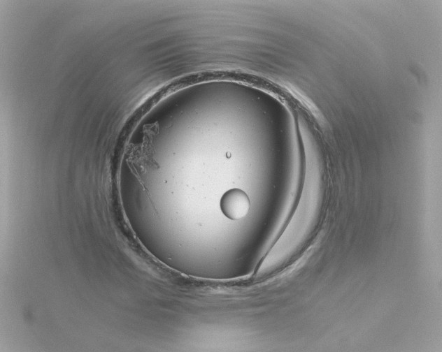 X0000115680969200911251748