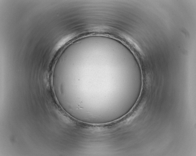 X0000115680970200911251748