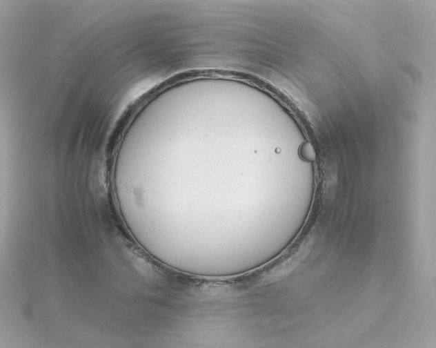 X0000115680974200911251748