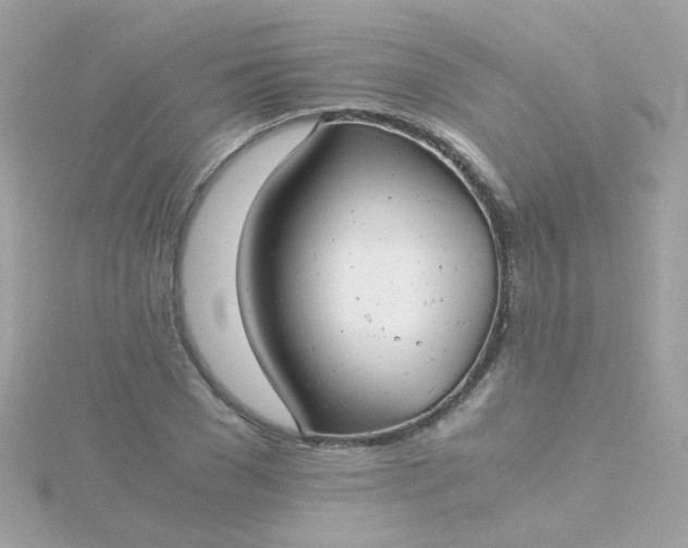 X0000115680977200911251748