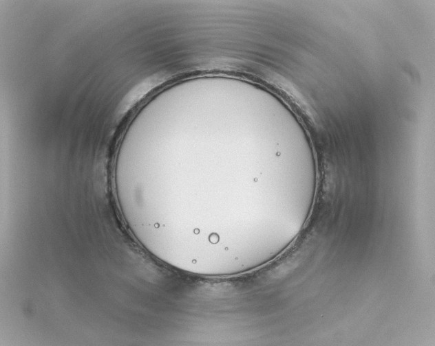 X0000115680978200911251748