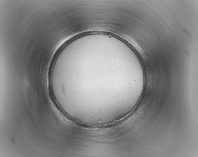 X0000115680980200911251748