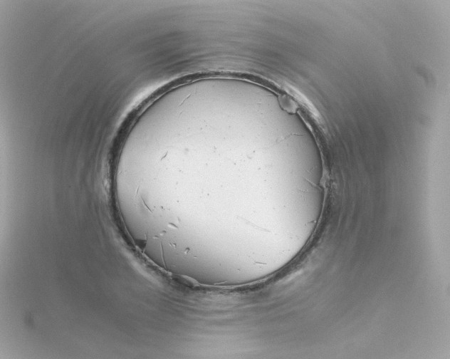 X0000115680981200911251748