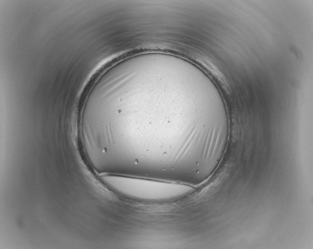 X0000115680984200911251748