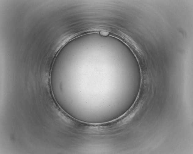 X0000115680985200911251748