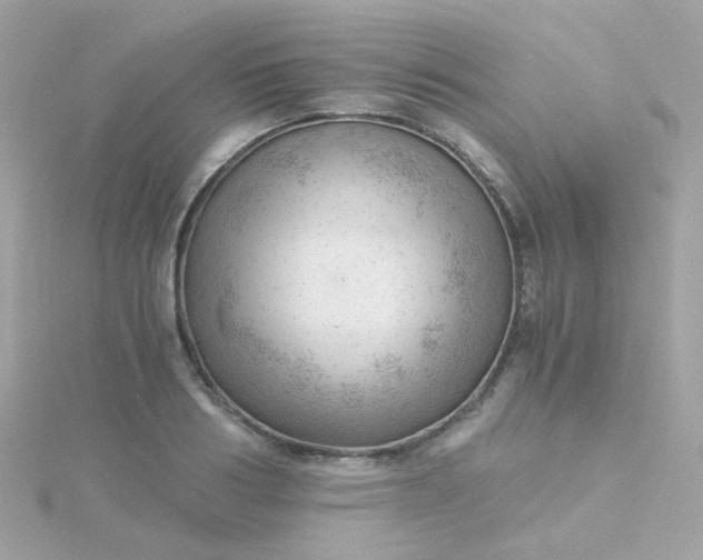 X0000115680986200911251748