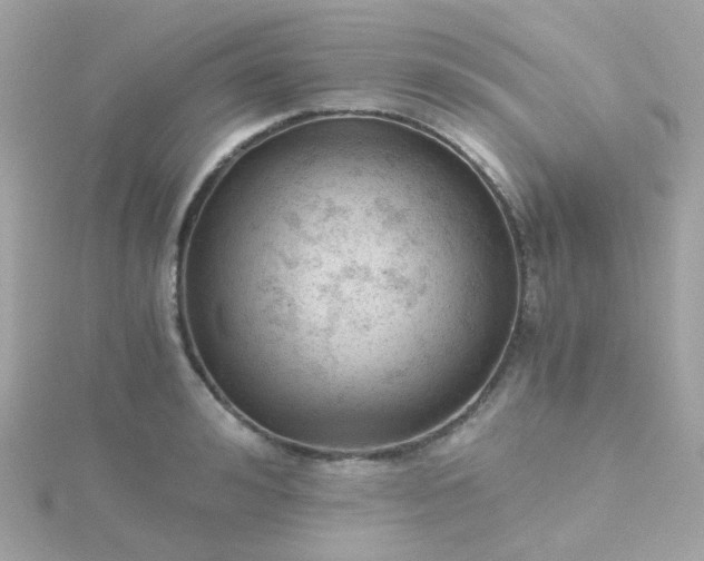 X0000115680992200911251748