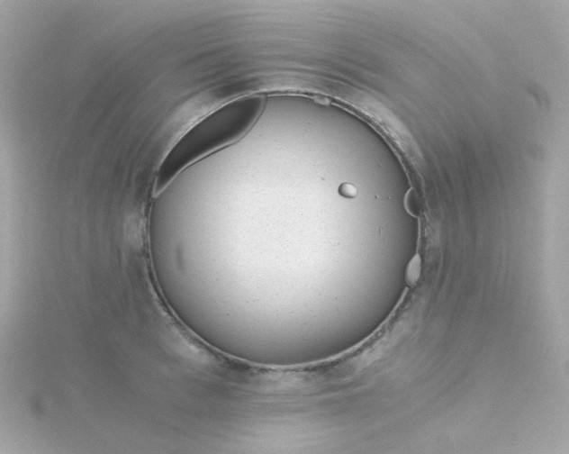 X0000115680993200911251748