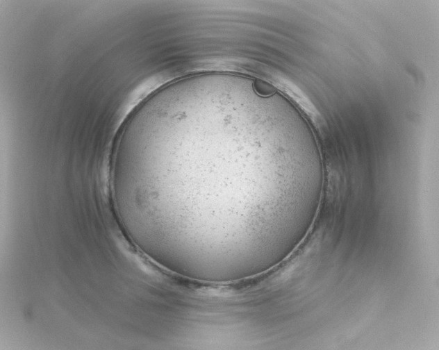 X0000115680994200911251748