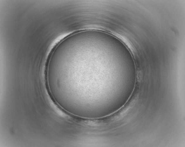 X0000115680995200911251748