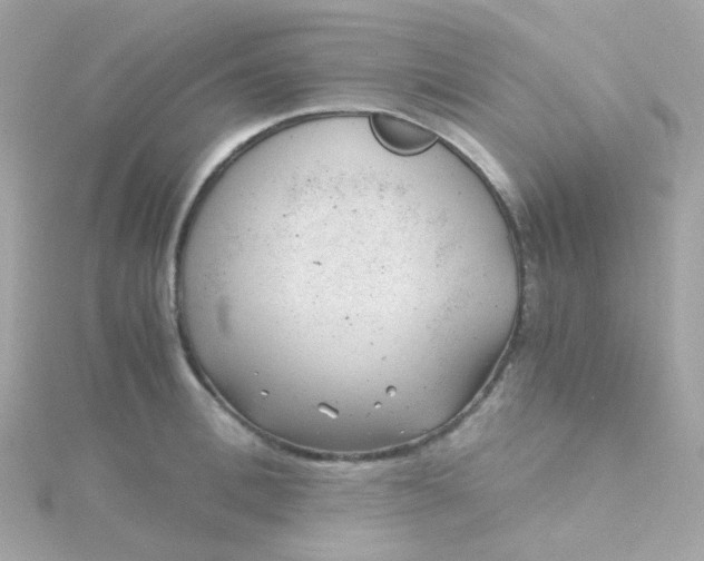 X0000115680996200911251748