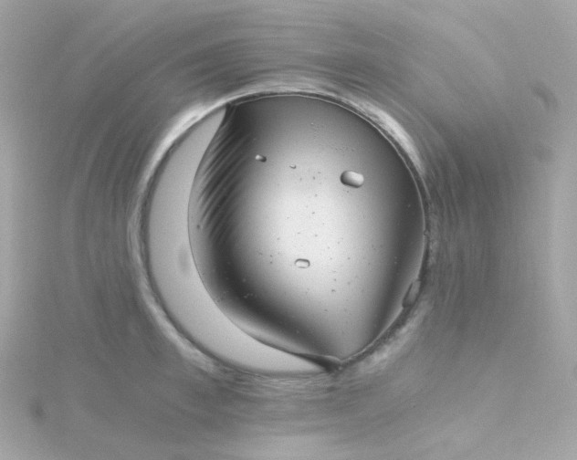 X0000115680997200911251748