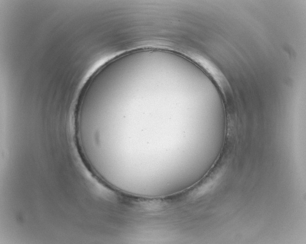 X0000115680999200911251748