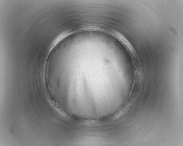 X0000115681002200911251748