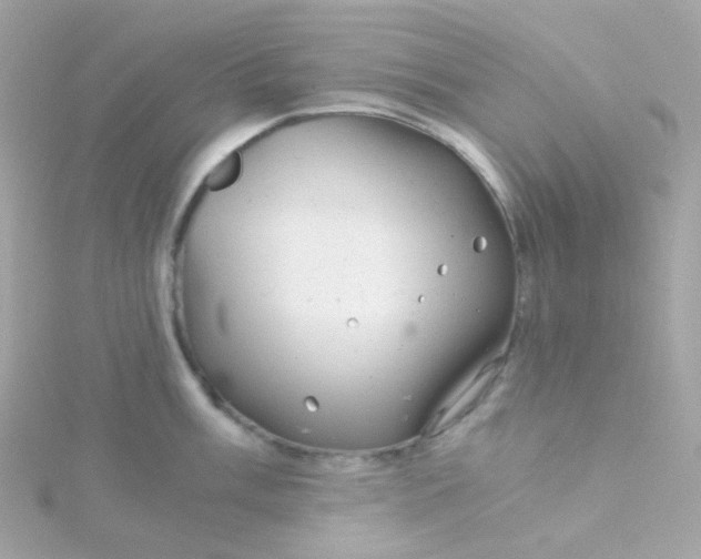 X0000115681003200911251748