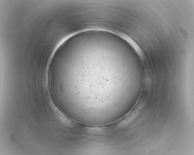 X0000115681004200911251748