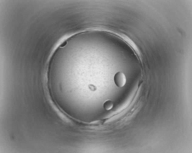 X0000115681005200911251748