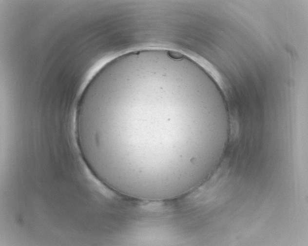 X0000115681006200911251748