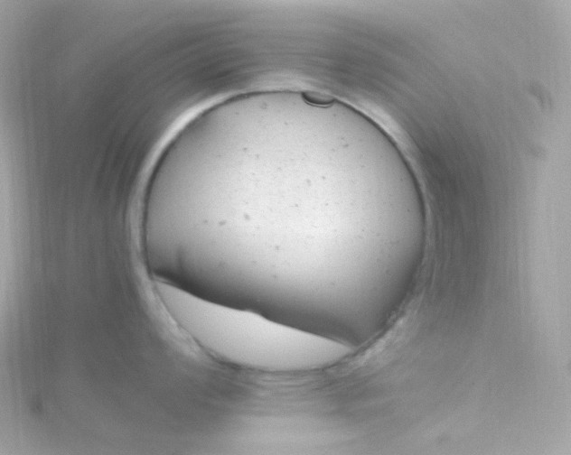 X0000115681008200911251748