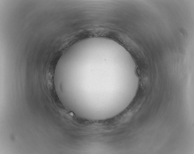 X0000115681010200911251747