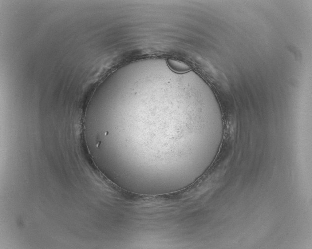 X0000115681012200911251747