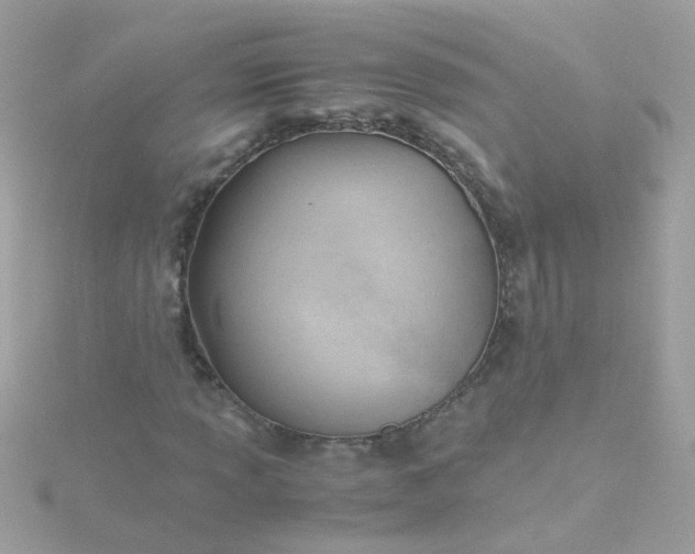 X0000115681013200911251747