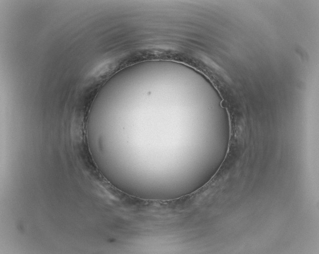 X0000115681014200911251747