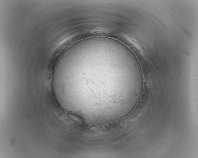 X0000115681015200911251747