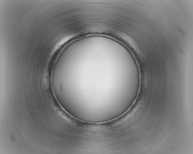 X0000115681018200911251747